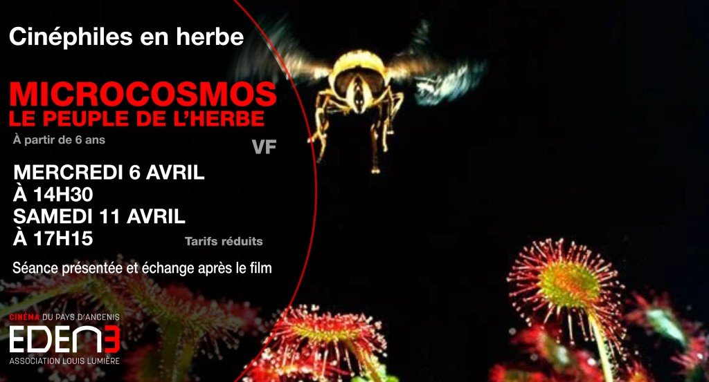 actualité ciné phile en herbe - microcosmoe