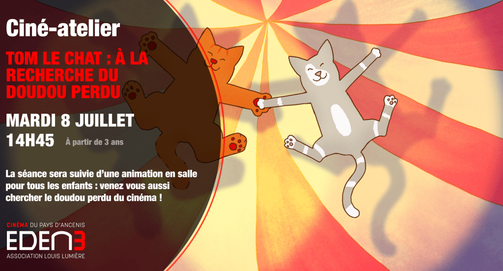 actualité tom le chat